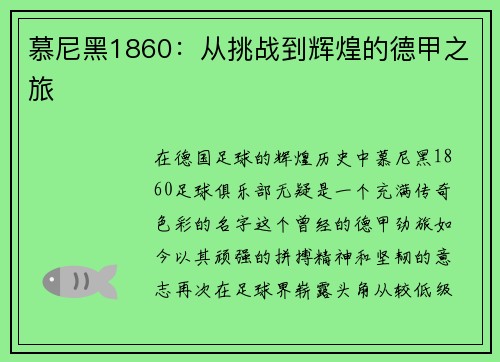 慕尼黑1860：从挑战到辉煌的德甲之旅